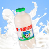 Liziyuan李子园乳饮料原味 450ml