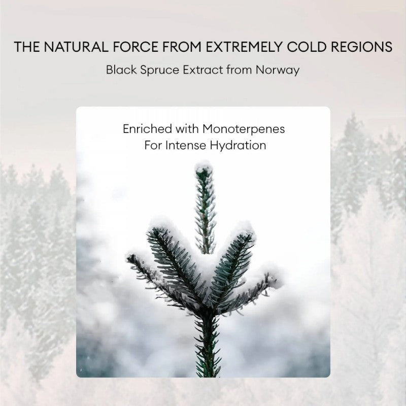 Fan Beauty Diary黑云杉水光莹润睡美人面膜 5片