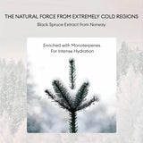 Fan Beauty Diary黑云杉水光莹润睡美人面膜 5片