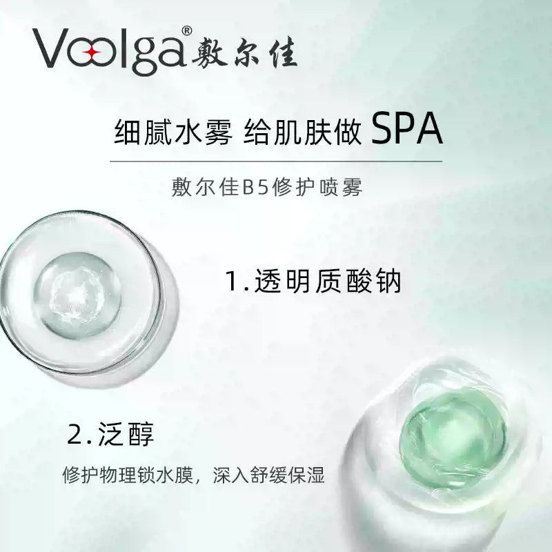 Voolga B5 Repair Spray 150ml