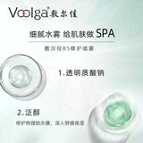 Voolga B5 Repair Spray 150ml