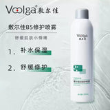 Voolga B5 Repair Spray 150ml