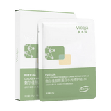 Voolga Collagen Water Brighting Repair Mask 2.0 5pcs