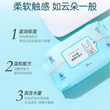 Amortals Portable Wet Tissue Wipes 20pcs