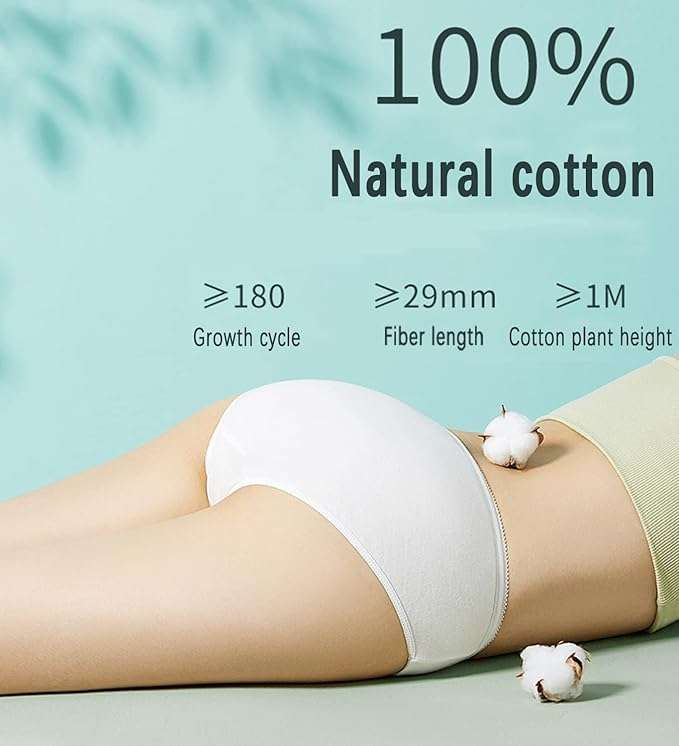 Youngtime Women's Underwear Cotton XL 5pcs