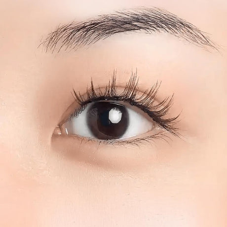 Wosado Soft Magnetic Eyelashes Maple Brown