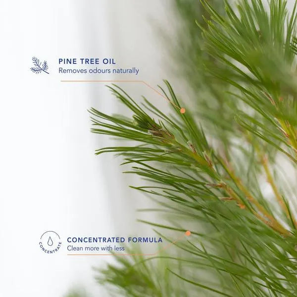 Lycocelle Underwear Laundry Detergent Alice Wonderland 330ml