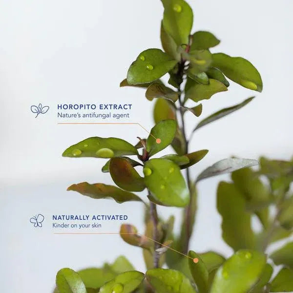 Lycocelle Underwear Laundry Detergent Alice Wonderland 330ml