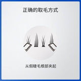 Plantpro植研加小恶魔型睫毛灵动漫画眼 156簇