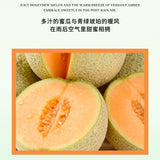 Xunyu寻遇果蕴系列无火香薰琥珀蜜瓜 100ml