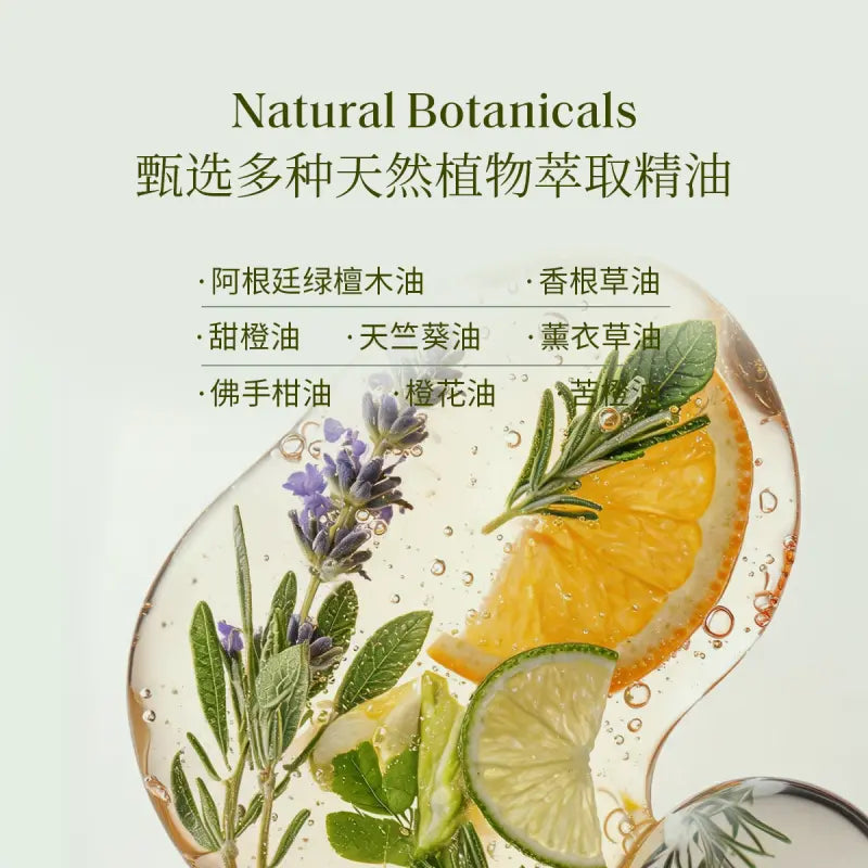 Xunyu寻遇四季系列精油香薰凛冬之梅 100ml