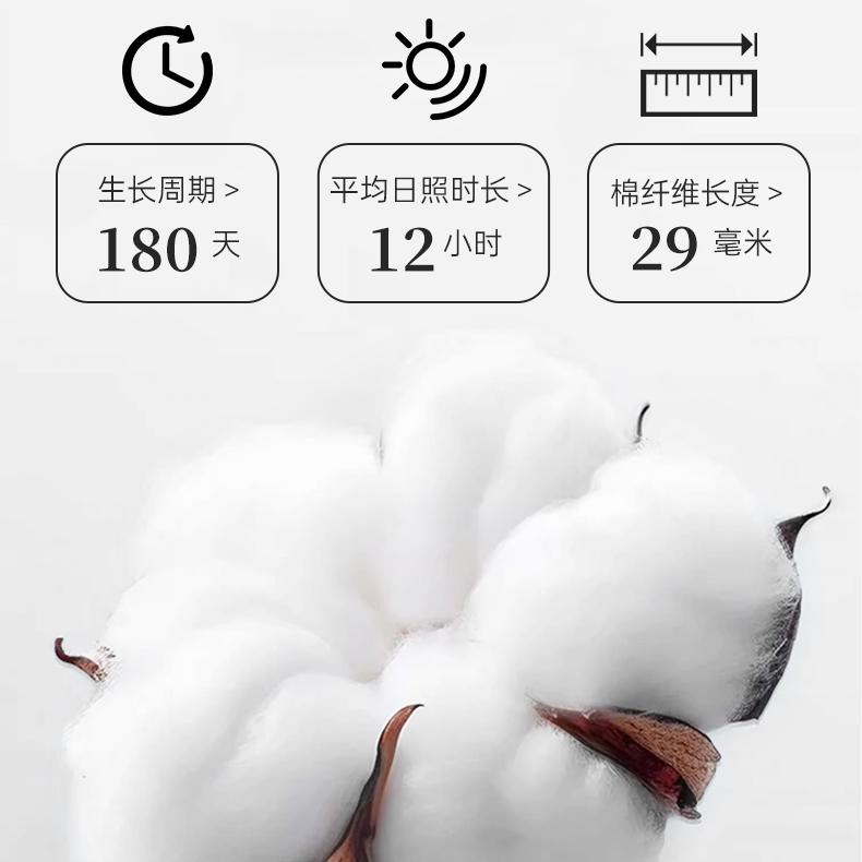 Damah Dark Magic Facial Cotton Towel Wipes 300pcs