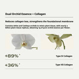 Lan兰时光兰花凝驻精萃油面膜 1片