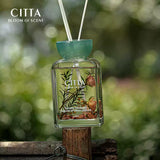 Citta西苔无火香薰丝绒玫瑰乌木 200ml