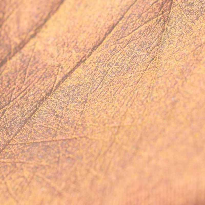 Flower Knows Midsummer Fairytales Liquid Highlighter #VA03 Pixie Dream