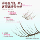 MR.Wish Glue Free False Eyelashes Boiled Water