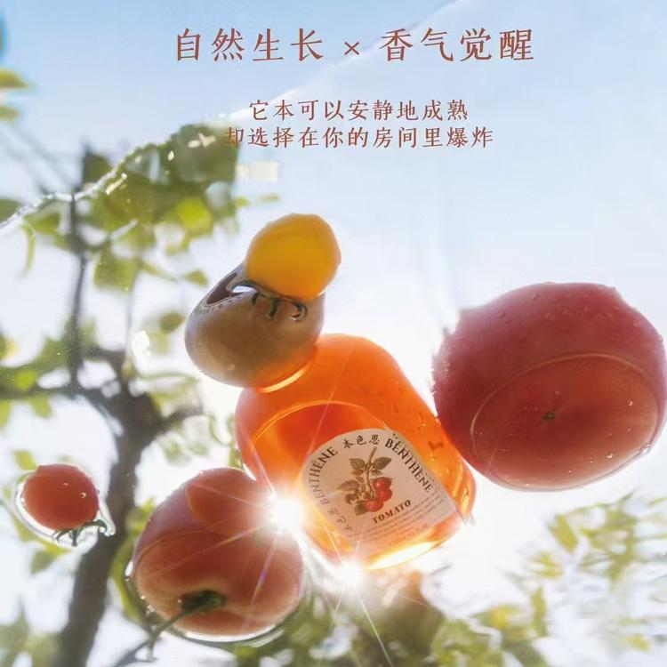 Lela Ladybro Reed Diffuser Tomato 200ml