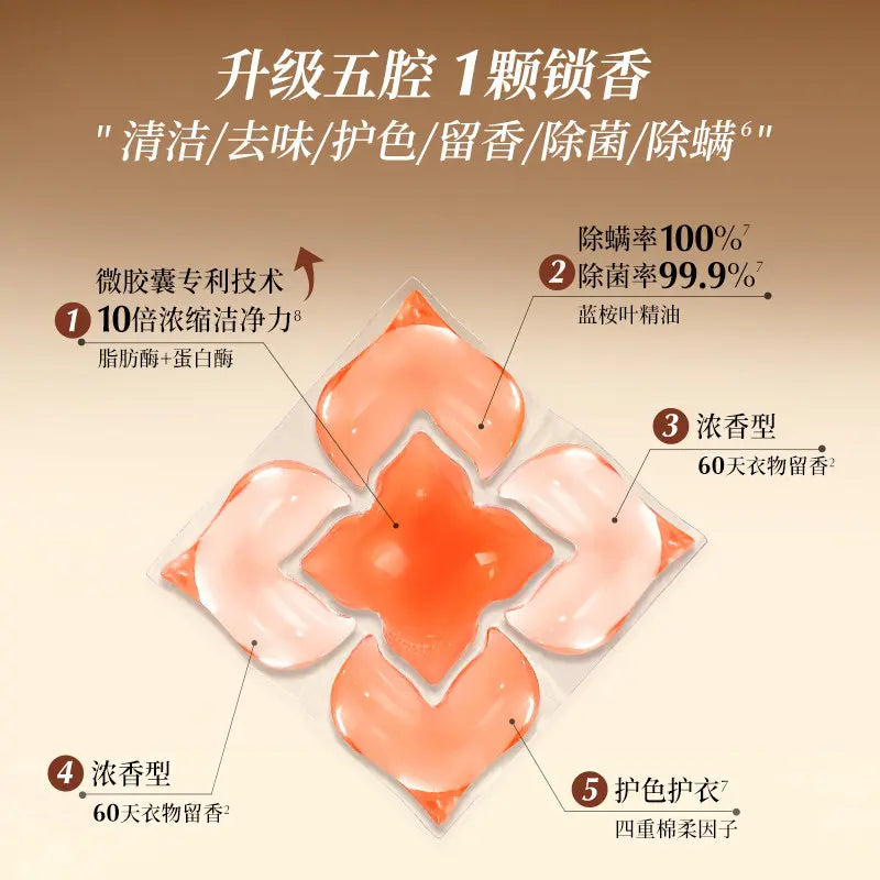 Lycocelle绽家香水油五腔洗衣凝珠青柚与檀木鸢尾 40粒