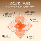Lycocelle绽家香水油五腔洗衣凝珠青柚与檀木鸢尾 40粒