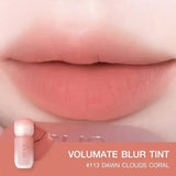 Clio Volumate Blur Tint #113 Dawn Clouds Coral
