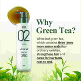 Amos Green Tea Shampoo Moisturizing Dry Scalp Hair 500g