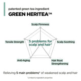 Amos Professional The Green Tea Refresh Shampoo 500ml