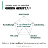 Amos Professional The Green Tea Refresh Shampoo 500ml