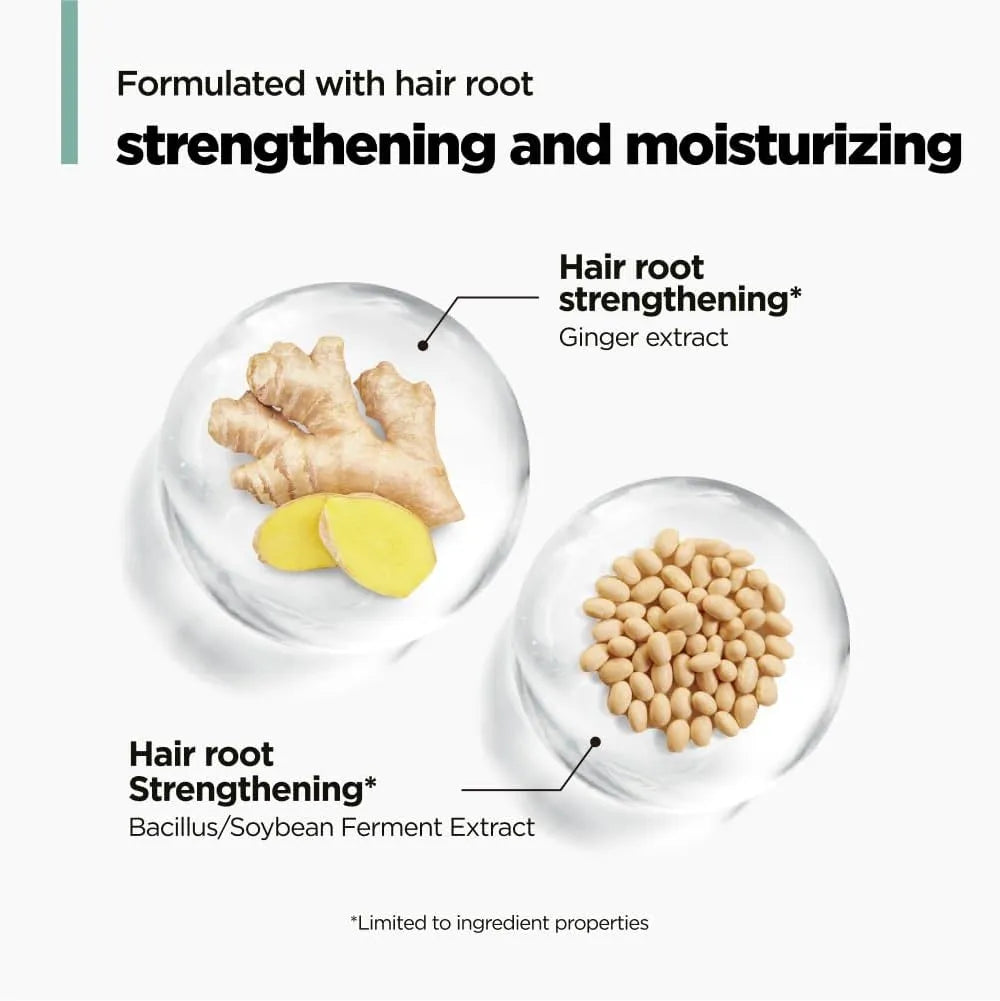 Amos Professional The Green Tea Refresh Shampoo 500ml