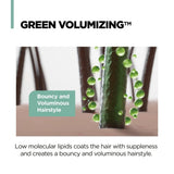 Amos The Green Shampoo Moisturizing For Dry Hair 500ml