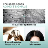 Amos Professional Green Tea Active Shampoo 500ml