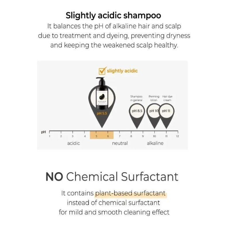 Nature Republic Black Bean Anti Hair Loss Shampoo 300ml