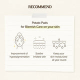 Skinfood Potato Madecassoside Soothing Pad 60pcs