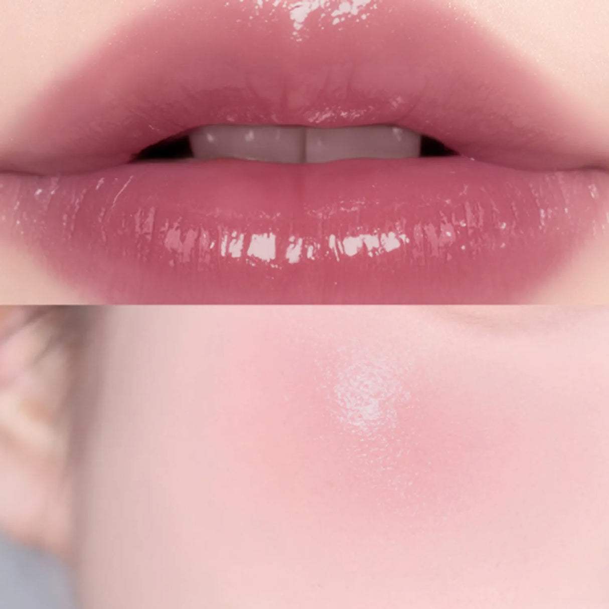 Dinto Blur Glowy Lip Tint #231 Anima Fortis + Perfect Pair Cheek #P231