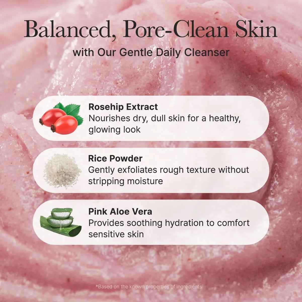 Arencia Fresh Rosehip Rice Mochi Cleanser 120g