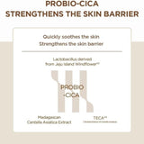 Skin1004积雪草益生菌积雪草精华爽肤水维稳舒缓 210ml
