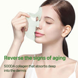 Dermafix积雪草面膜镇定修复绿色 8片
