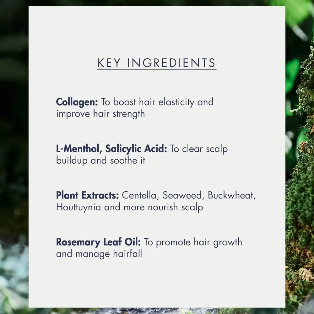 Treecell Night Collagen Shampoo #Midnight Forest 360ml (+Refill 360ml)