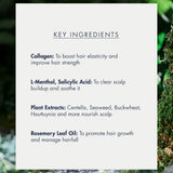 Treecell Night Collagen Shampoo #Midnight Forest 360ml (+Refill 360ml)