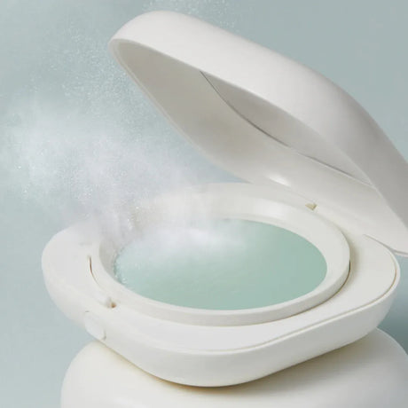 Laneige Neo Essential Blurring Finish Powder 7g