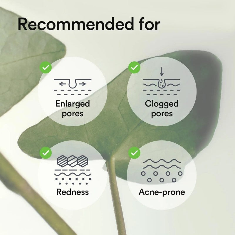 Abib阿彼芙鱼腥草舒缓胶原蛋白凝胶面膜 10片