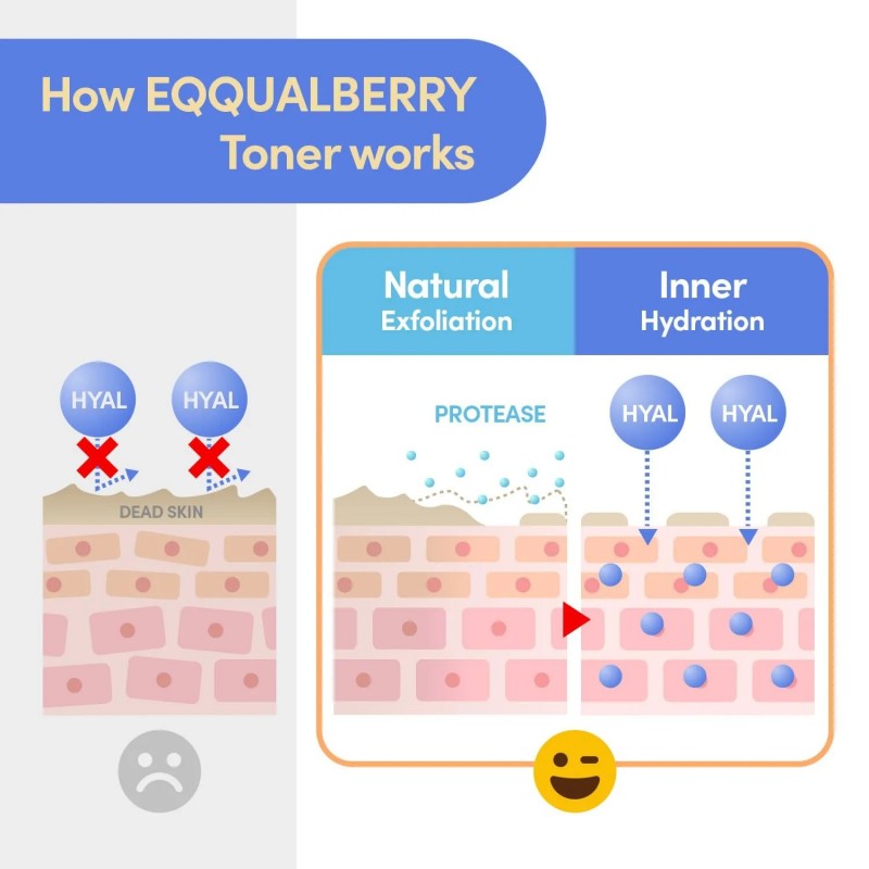 Eqqualberry Swimming Pool Toner 155ml