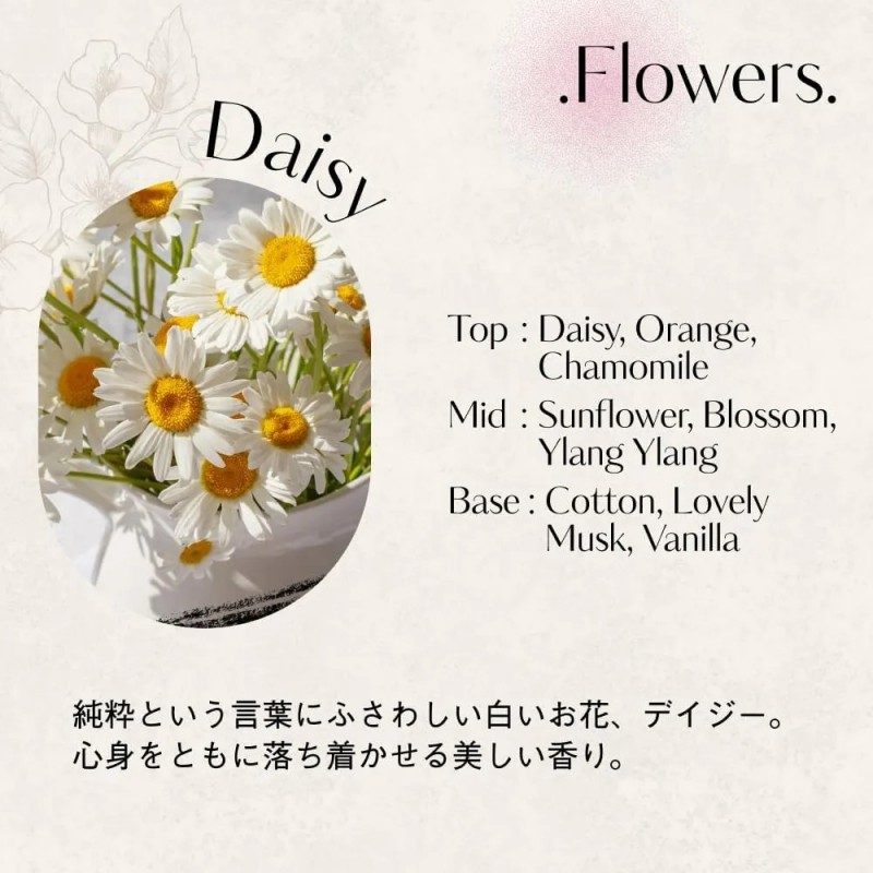 Hetras芒果籽黄油香氛护手霜雏菊香 50ml