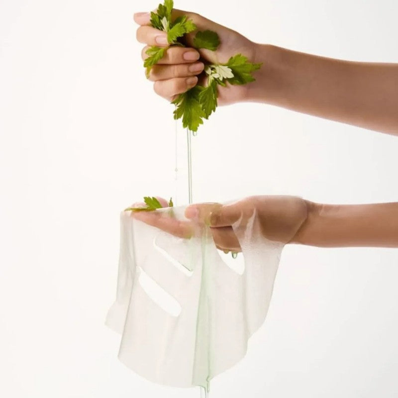 Whipped Mugtree Vegan Pore Cooling Squeeze Mask 5+1pcs