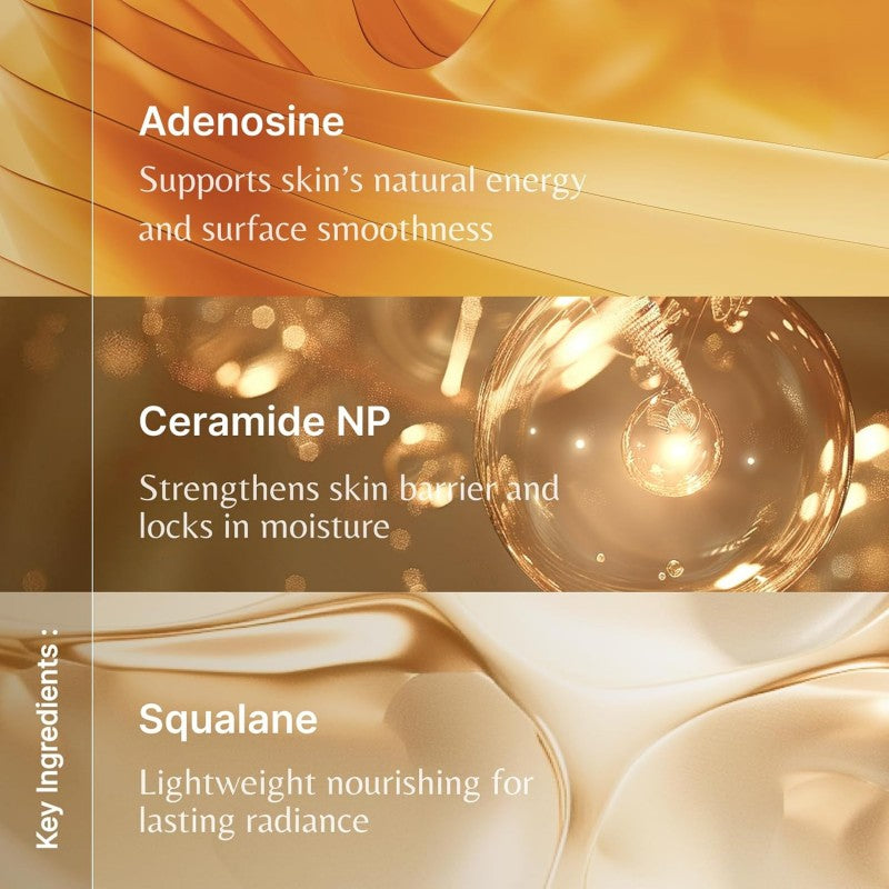The Whoo Cheongidan Rejuvenating Pro-Radiance Special Set